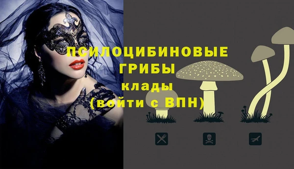 ПСИЛОЦИБИНОВЫЕ ГРИБЫ Абдулино