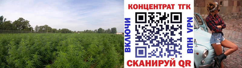 hydra как войти  Балахна  ТГК гашишное масло 